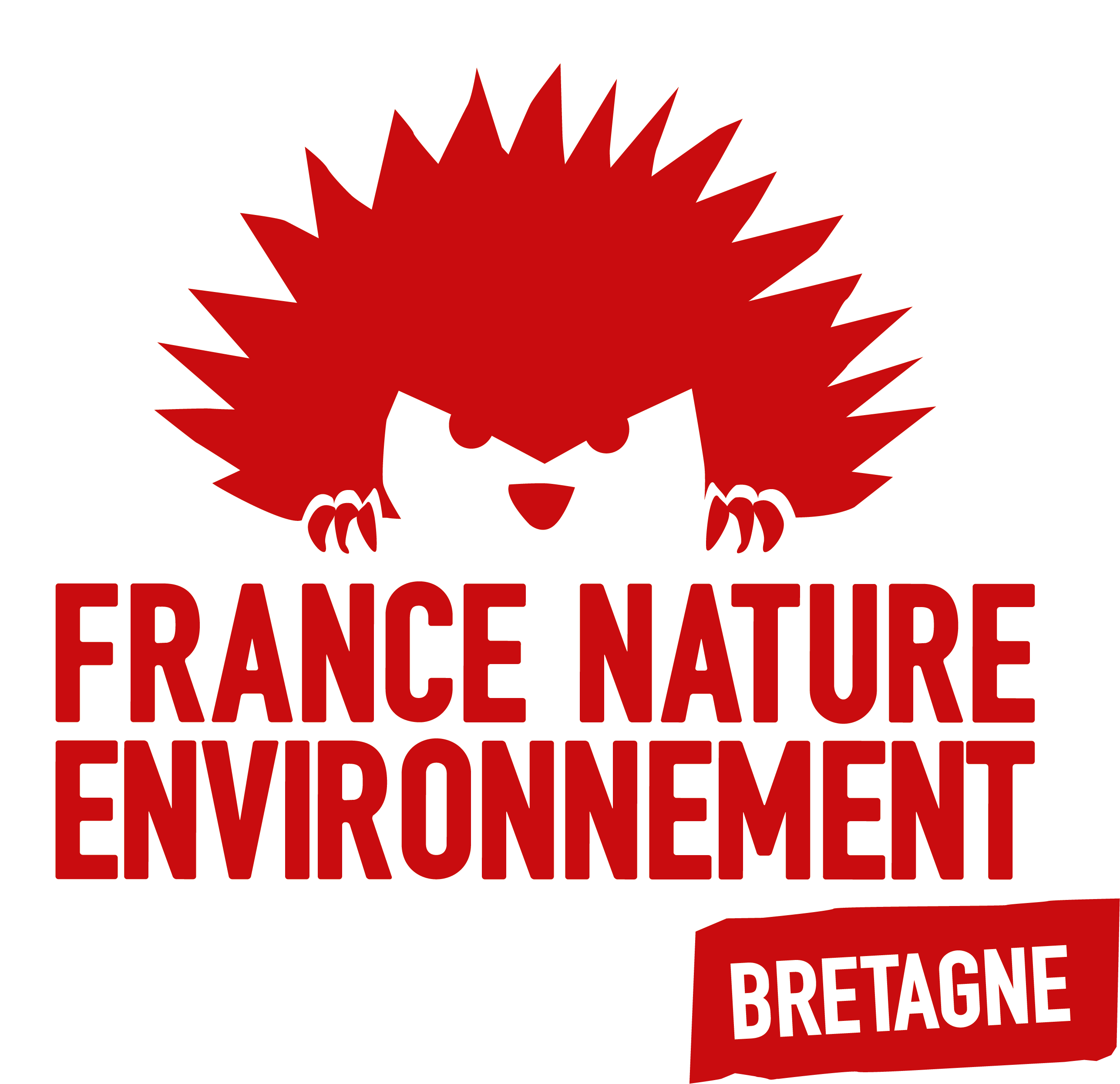 FNE_Bretagne_Logo_Principal_Rouge